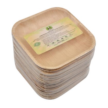 Disposable Palm Leaf Plates  4.5" Square Plate Pack of 25 | Eco-Friendly Plates | Pearl Naturals
