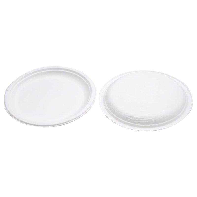 Disposable Sugarcane Bagasse  10" Round Plate Pack of 25 / Wholesale 125pcs | Pearl Naturals - Image 3
