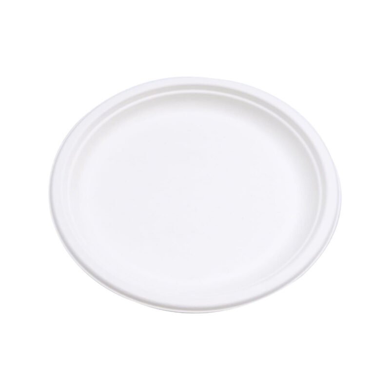 Disposable Sugarcane Bagasse  10" Round Plate Pack of 25 / Wholesale 125pcs | Pearl Naturals - Image 2