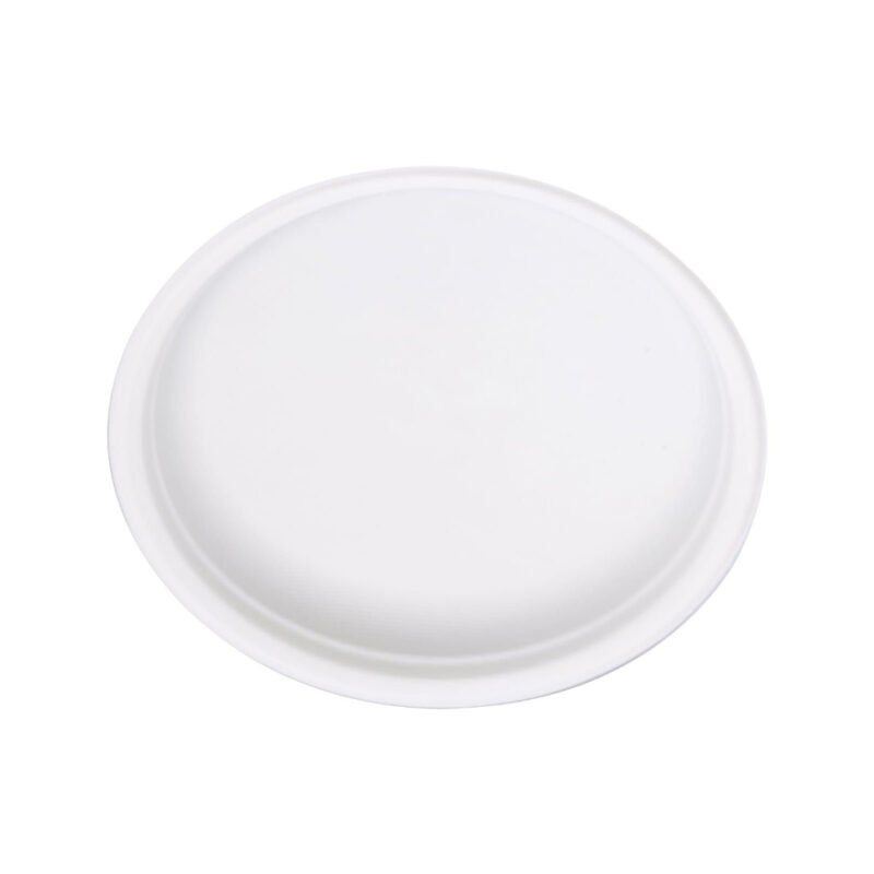 Disposable Sugarcane Bagasse  10" Round Plate Pack of 25 / Wholesale 125pcs | Pearl Naturals - Image 4