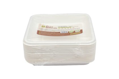 Disposable Sugarcane White Bagasse 5.4" Square Plate Pack of 25 | Pearl Naturals
