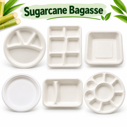 Sugarcane Bagasse